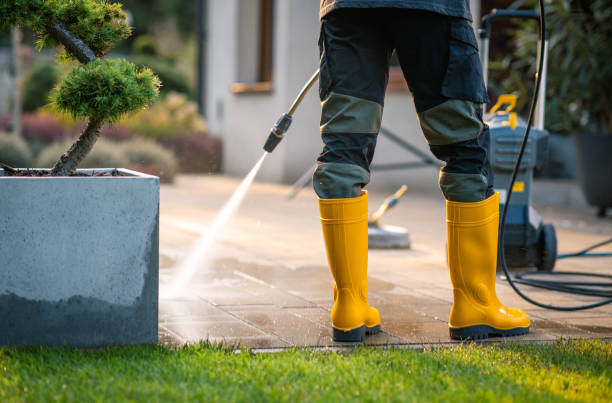  Alexandria, LA Pressure Washing Pros